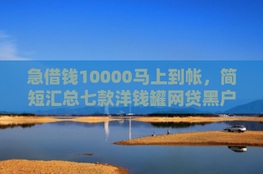 急借钱10000马上到帐，简短汇总七款洋钱罐网贷黑户能下款吗