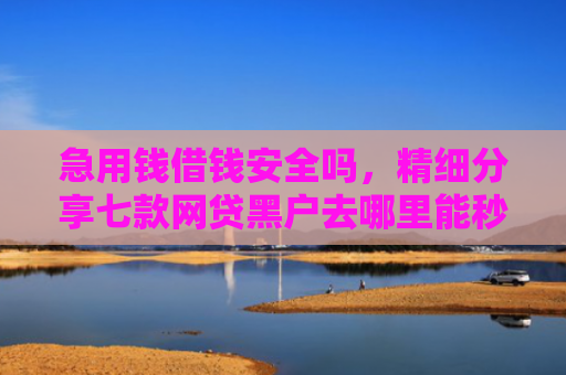 急用钱借钱安全吗，精细分享七款网贷黑户去哪里能秒下款