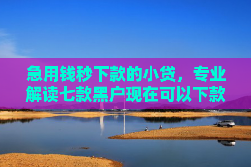 急用钱秒下款的小贷，专业解读七款黑户现在可以下款的网贷
