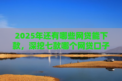 2025年还有哪些网贷能下款，深挖七款哪个网贷口子下款最快