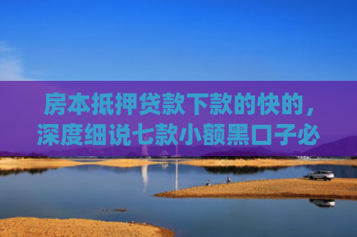 房本抵押贷款下款的快的，深度细说七款小额黑口子必下款app