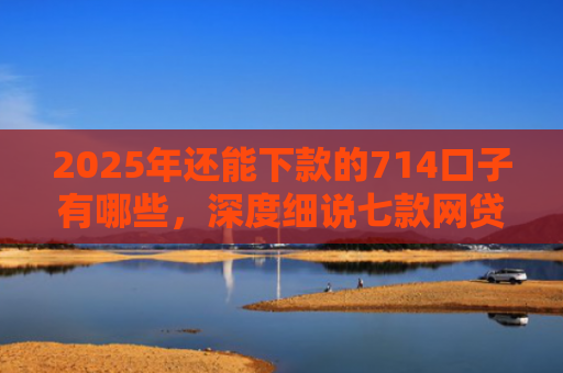 2025年还能下款的714口子有哪些，深度细说七款网贷黑户苹果下款口子