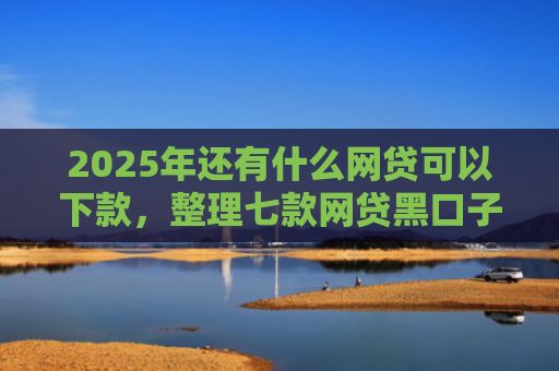 2025年还有什么网贷可以下款，整理七款网贷黑口子必下款
