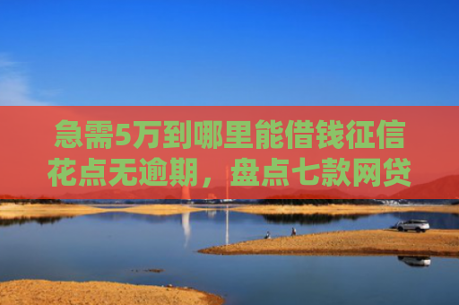 急需5万到哪里能借钱征信花点无逾期，盘点七款网贷黑户能下款是真的吗