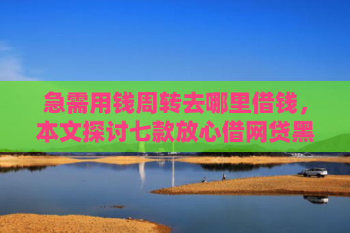 急需用钱周转去哪里借钱，本文探讨七款放心借网贷黑户能下款吗