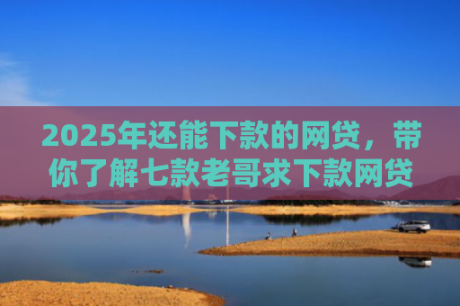 2025年还能下款的网贷，带你了解七款老哥求下款网贷口子