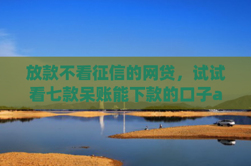 放款不看征信的网贷，试试看七款呆账能下款的口子app