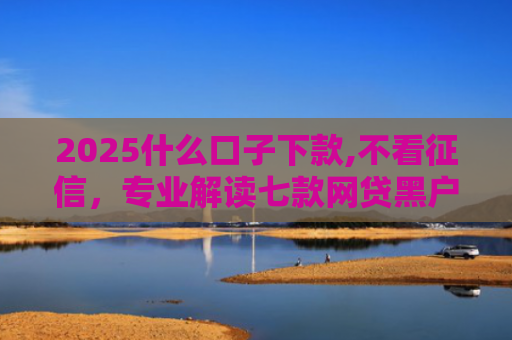 2025什么口子下款,不看征信，专业解读七款网贷黑户口子下款口子