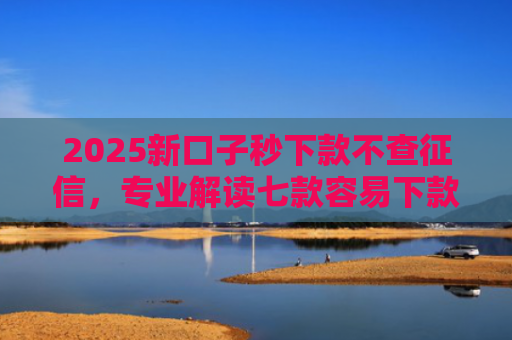 2025新口子秒下款不查征信，专业解读七款容易下款的大额网贷口子