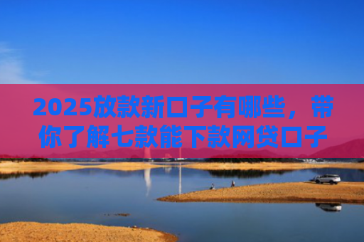 2025放款新口子有哪些，带你了解七款能下款网贷口子大全