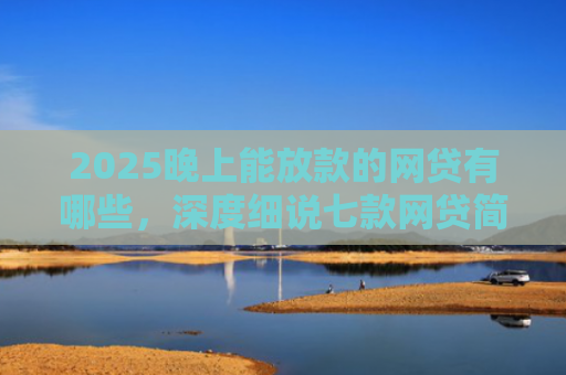 2025晚上能放款的网贷有哪些，深度细说七款网贷简单好下款的口子