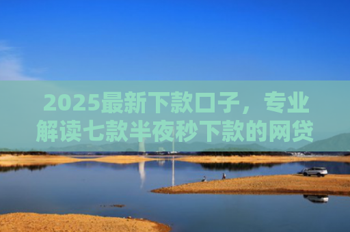 2025最新下款口子，专业解读七款半夜秒下款的网贷口子