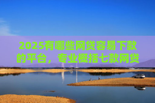 2025有哪些网贷容易下款的平台，专业概括七款网贷买会员必下款口子