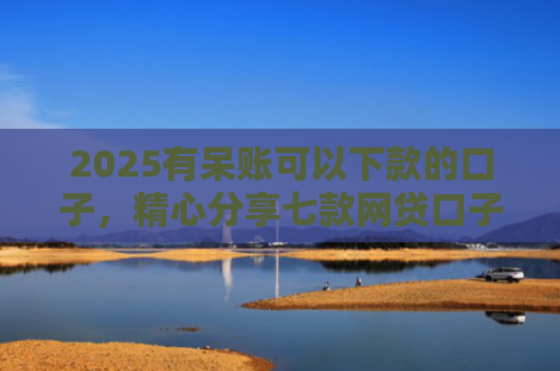 2025有呆账可以下款的口子，精心分享七款网贷口子为什么会下款