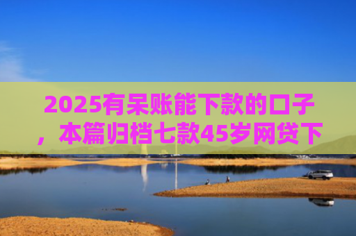 2025有呆账能下款的口子，本篇归档七款45岁网贷下款的口子