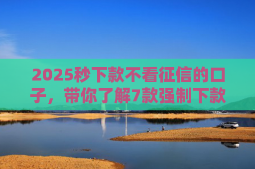 2025秒下款不看征信的口子，带你了解7款强制下款的网贷口子