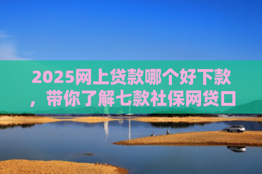 2025网上贷款哪个好下款，带你了解七款社保网贷口子那个下款快