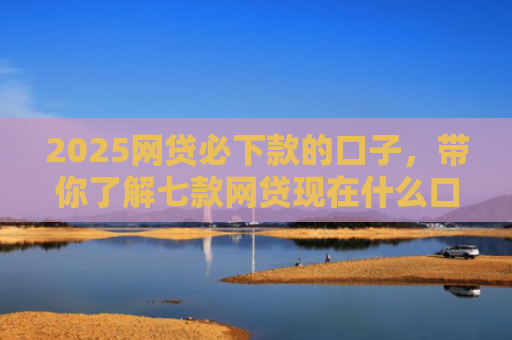 2025网贷必下款的口子，带你了解七款网贷现在什么口子能下款
