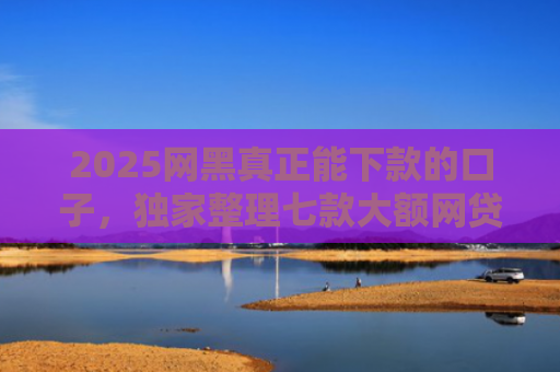 2025网黑真正能下款的口子，独家整理七款大额网贷哪些口子好下款