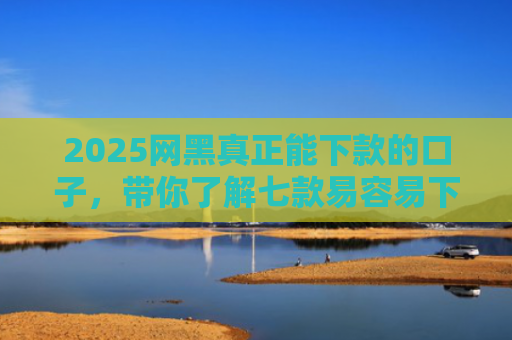 2025网黑真正能下款的口子，带你了解七款易容易下款的网贷口子