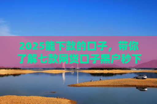 2025能下款的口子，带你了解七款网贷口子黑户秒下款
