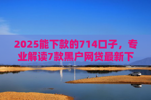 2025能下款的714口子，专业解读7款黑户网贷最新下款口子