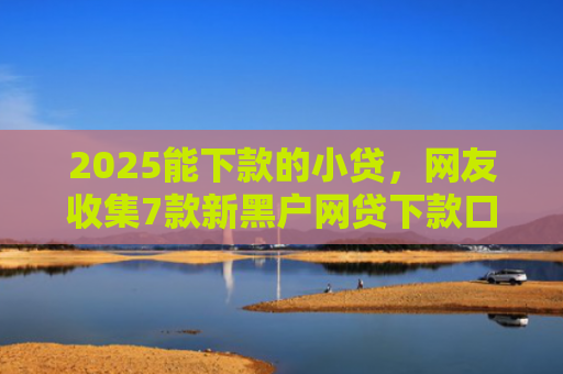 2025能下款的小贷，网友收集7款新黑户网贷下款口子
