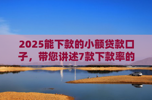 2025能下款的小额贷款口子，带您讲述7款下款率的网贷口子