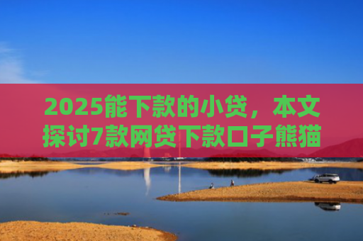2025能下款的小贷，本文探讨7款网贷下款口子熊猫应急
