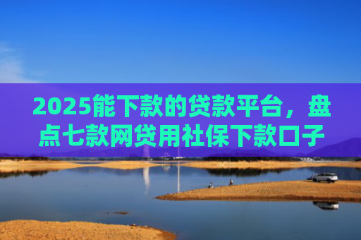 2025能下款的贷款平台，盘点七款网贷用社保下款口子