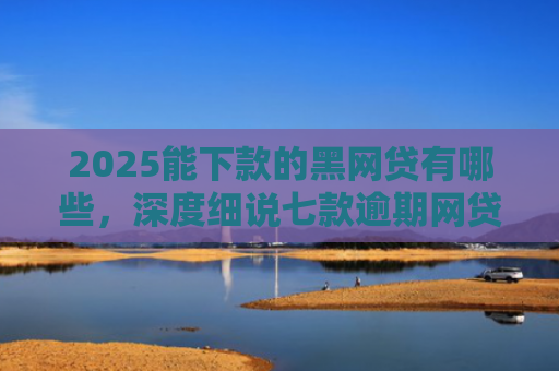 2025能下款的黑网贷有哪些，深度细说七款逾期网贷下款贷款口子