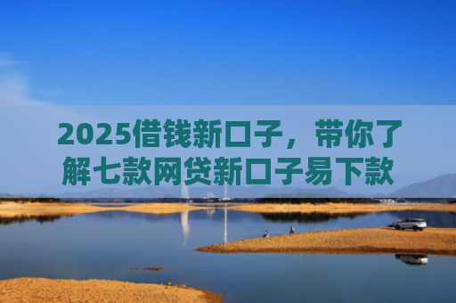 2025借钱新口子，带你了解七款网贷新口子易下款