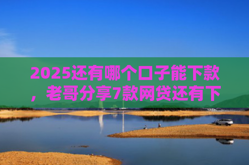 2025还有哪个口子能下款，老哥分享7款网贷还有下款口子吗
