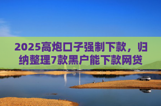 2025高炮口子强制下款，归纳整理7款黑户能下款网贷口子