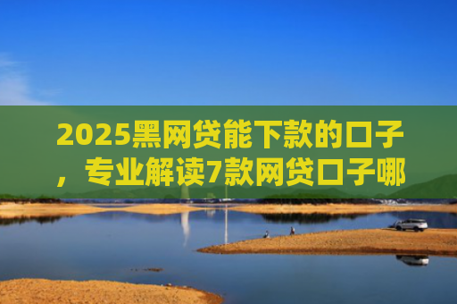 2025黑网贷能下款的口子，专业解读7款网贷口子哪些好下款