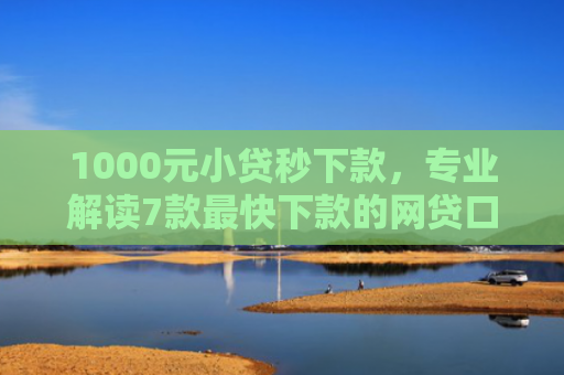 1000元小贷秒下款，专业解读7款最快下款的网贷口子