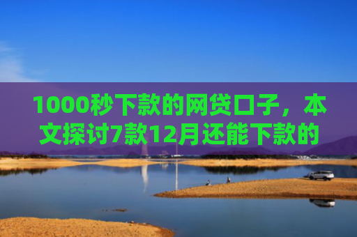 1000秒下款的网贷口子，本文探讨7款12月还能下款的网贷口子