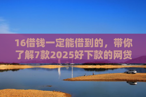 16借钱一定能借到的，带你了解7款2025好下款的网贷口子