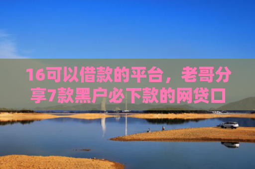 16可以借款的平台，老哥分享7款黑户必下款的网贷口子