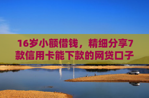16岁小额借钱，精细分享7款信用卡能下款的网贷口子