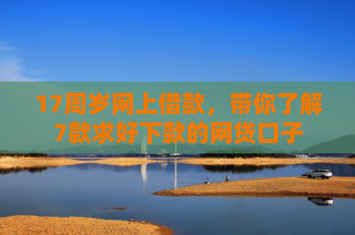 17周岁网上借款，带你了解7款求好下款的网贷口子