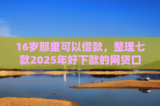 16岁那里可以借款，整理七款2025年好下款的网贷口子