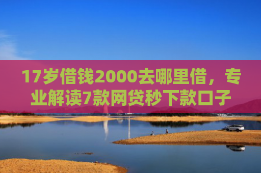 17岁借钱2000去哪里借，专业解读7款网贷秒下款口子