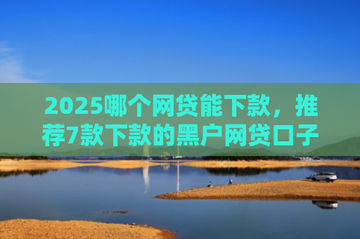 2025哪个网贷能下款，推荐7款下款的黑户网贷口子