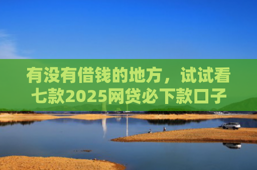 有没有借钱的地方，试试看七款2025网贷必下款口子