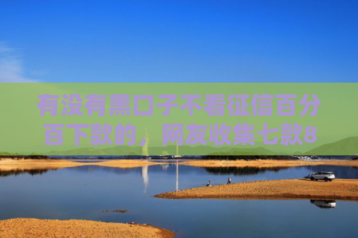 有没有黑口子不看征信百分百下款的，网友收集七款8月网贷下款口子