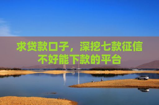 求贷款口子，深挖七款征信不好能下款的平台