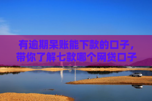 有逾期呆账能下款的口子，带你了解七款哪个网贷口子下款快
