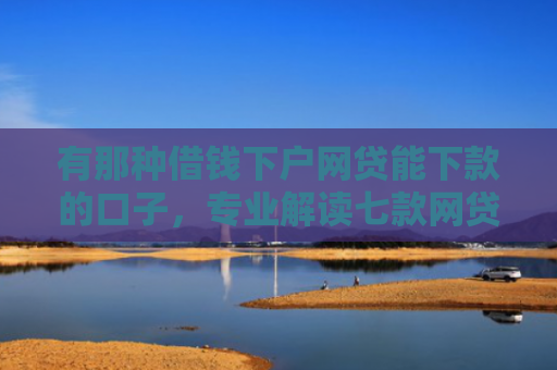 有那种借钱下户网贷能下款的口子，专业解读七款网贷下款口子怎么找