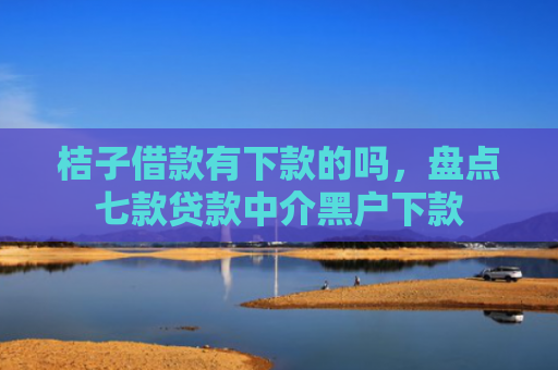 桔子借款有下款的吗，盘点七款贷款中介黑户下款